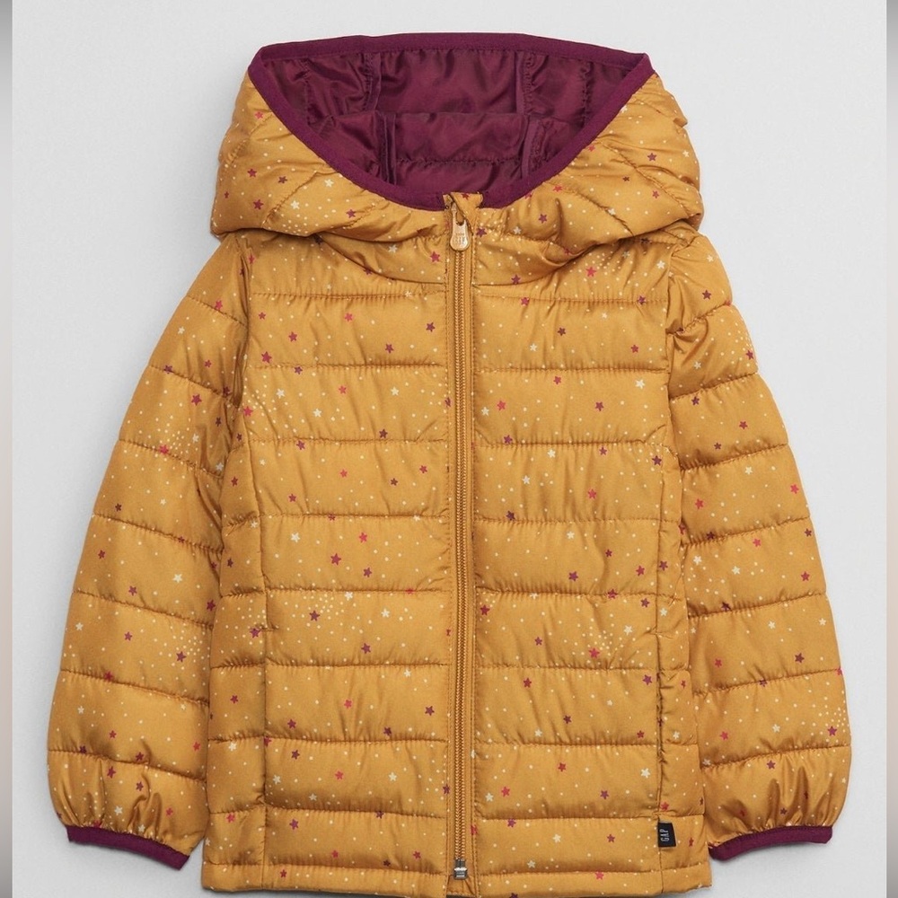 Baby Gap ColdControl Puffer Jacket